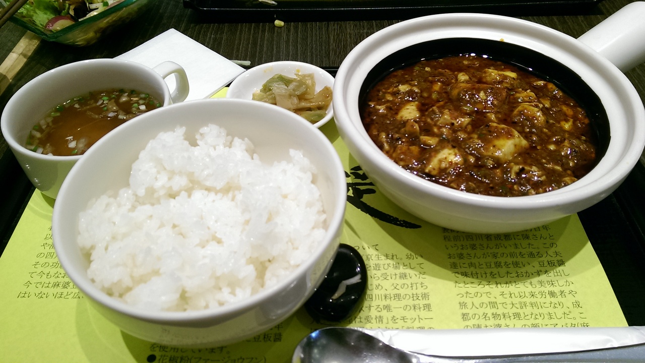 Chen Kenichi Mapo Tofu Recipe