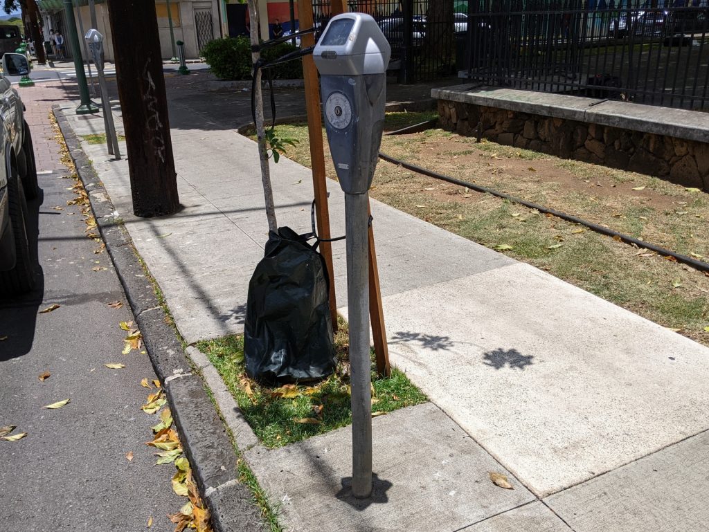Parking Meter at Lāhainā Noon