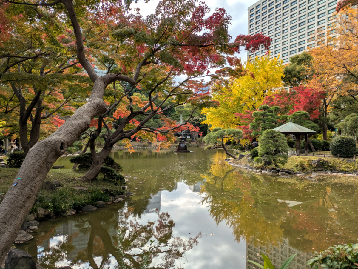 Hibiya Park, Shinkei Pond - Fall